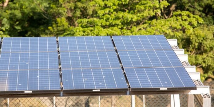 Row of blue solar panels mounted on a frame with green trees in the background