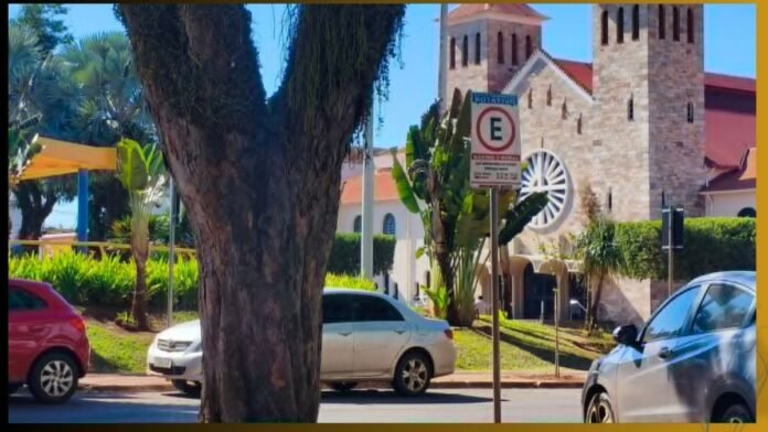 Street view with parked cars, a large tree trunk in the foreground, and a stone church with a circular window in the background.