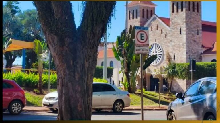 Street view with parked cars, a large tree trunk in the foreground, and a stone church with a circular window in the background.