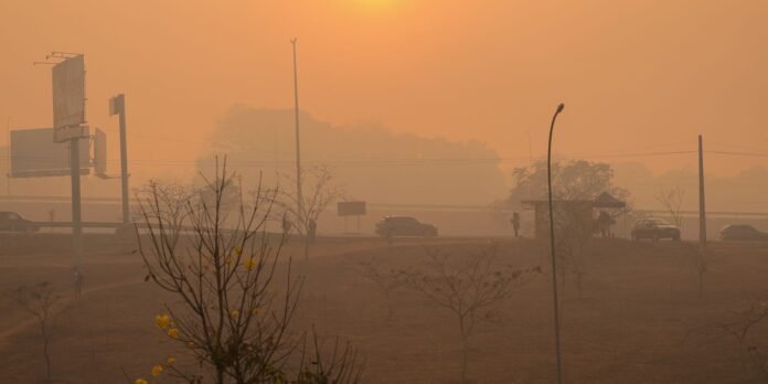 Hazy orange sunset over a road with cars, leafless trees, and a distant billboard on the left.