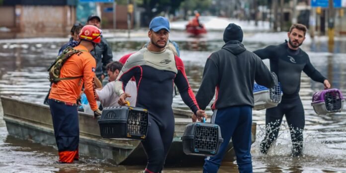 Rescuers in wetsuits carry pet crates through flooded street as a boat sits nearby at a flood scene.