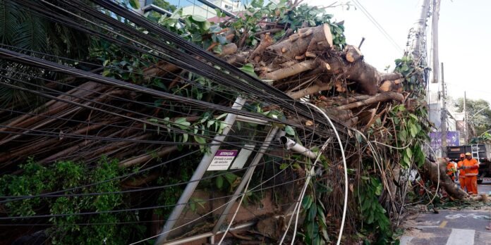 Large fallen tree draped over tangled electrical wires on a street, with workers in orange uniforms inspecting the damage.