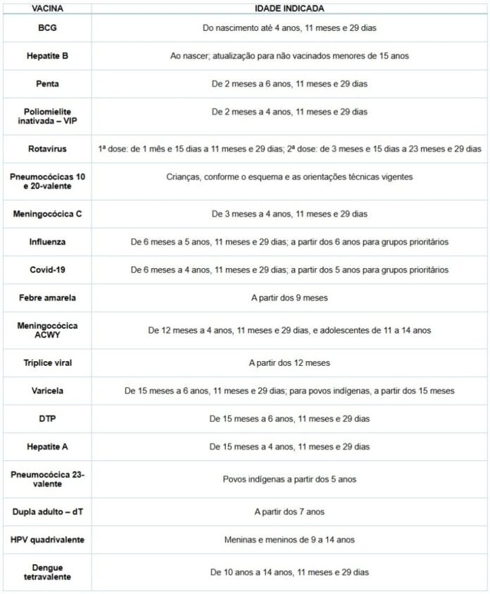 Tabela listando vacinas e idades indicadas para cada imunização (BCG, Hepatite B, Penta, DTP, Influenza, Covid-19, etc.).