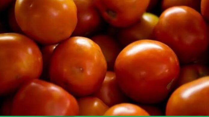 Close-up of a pile of ripe orange-red cherry tomatoes.