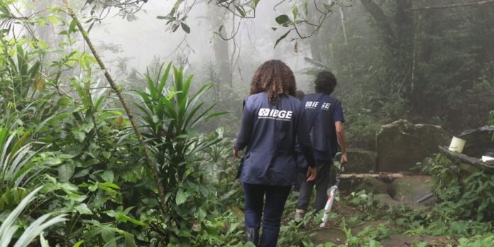 Two researchers wearing IBGE vests walk through a dense, misty forested garden.