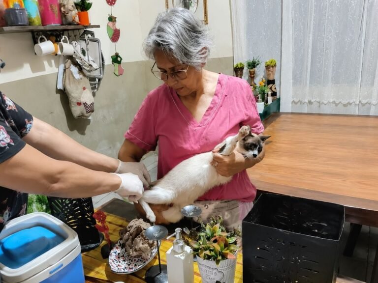 Older woman in pink holds a Siamese-faced cat while another person helps with its hind legs during a checkup in a cozy room.