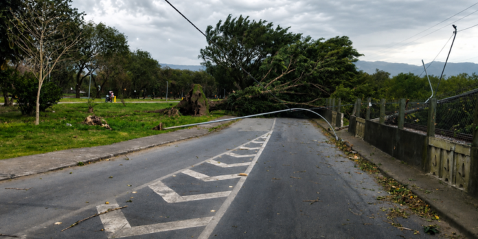 Road blocked by a fallen tree and power lines across the street with debris on the asphalt, after a storm.