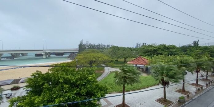 Sea beach with a bridge on the left, a green park with a red-roofed gazebo in the center, and palm trees along a paved promenade.
