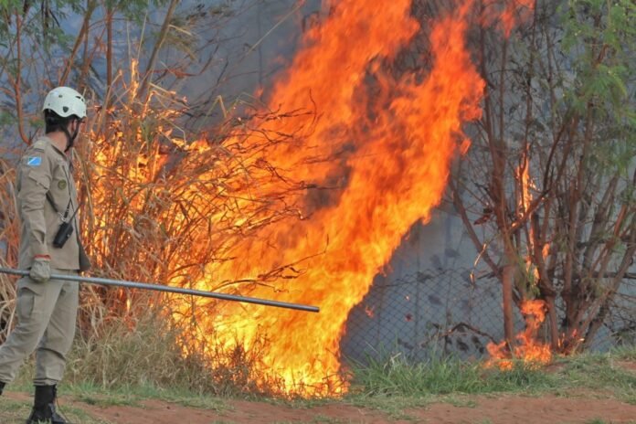 Firefighter in tan protective gear and helmet holds a long tool as a large brush fire rages beside a chain-link fence.