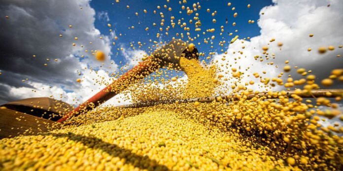 Yellow corn kernels spill from a red chute onto a large outdoor pile, under a blue sky with clouds, during daylight.”