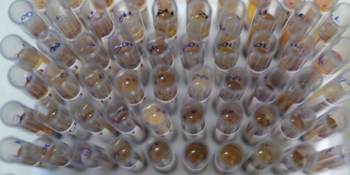 Top-down view of many transparent test tubes filled with brown liquids, arranged in a circular cluster on a lab bench with labels on the tubes.
