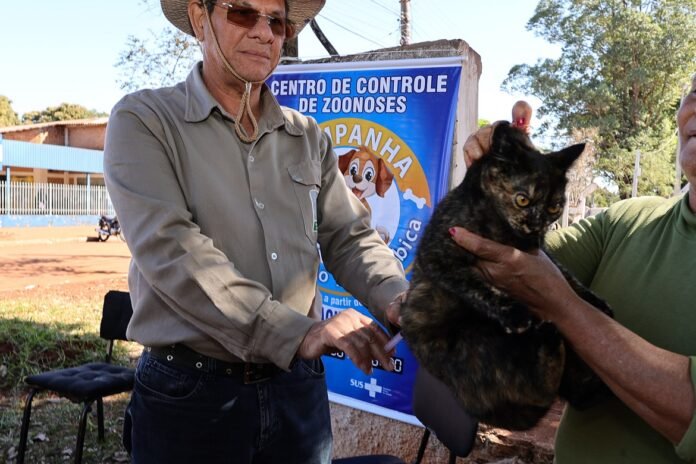 Two men hold a small tortoiseshell cat outdoors near a blue banner reading 'Centro de Controle de Zoonoses'.
