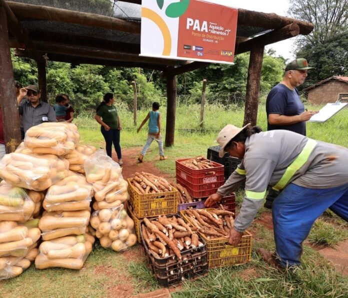 Community food distribution site with stacked bags of bread and crates of yams under a wooden shelter; volunteers assist.