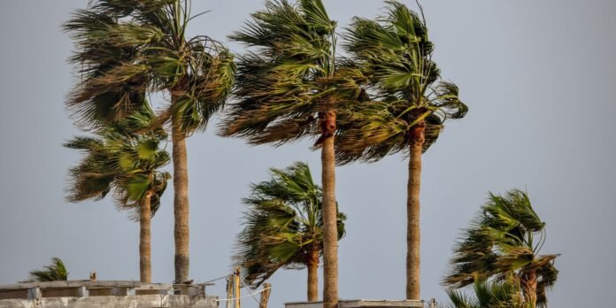 Palm trees bending in strong wind against a pale blue sky, with weathered white structures at the base.