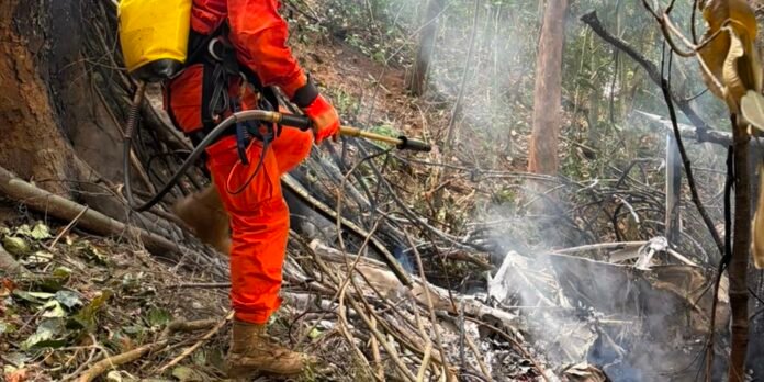 Firefighter in orange gear spraying water on a forest fire amid smoke and fallen branches.