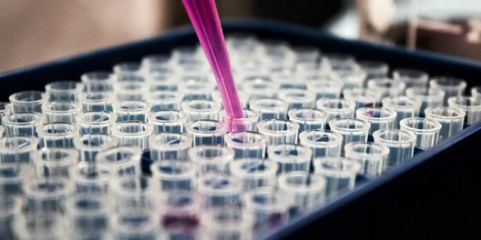 Pink liquid being dispensed into rows of clear microcentrifuge tubes in a rack, a laboratory experiment in progress