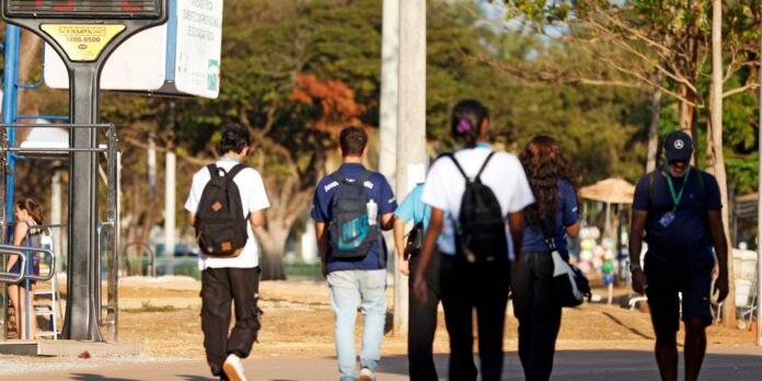 Group of people walking away on a sunny park path with backpacks, viewed from behind