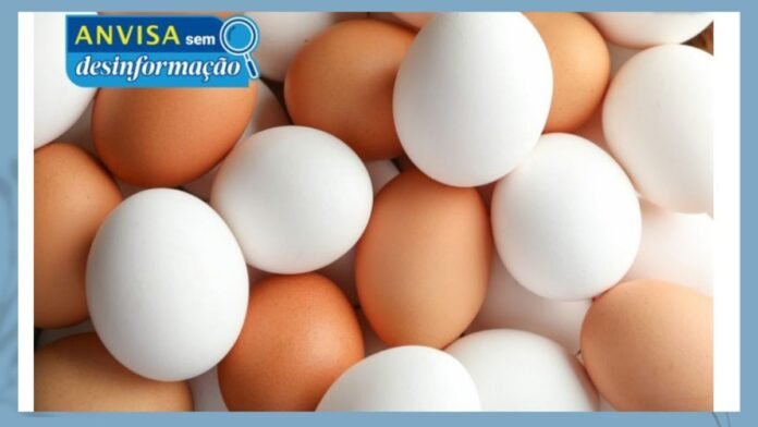 Close-up of brown and white eggs piled together with a blue ANVISA sem desinformação badge in the top-left.