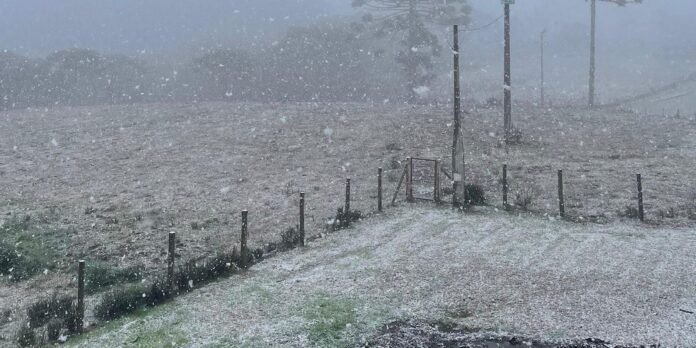 Snow falls over a flat rural field lined with wooden fence posts and a gravel driveway leading to a gate, with hazy trees in the distance.