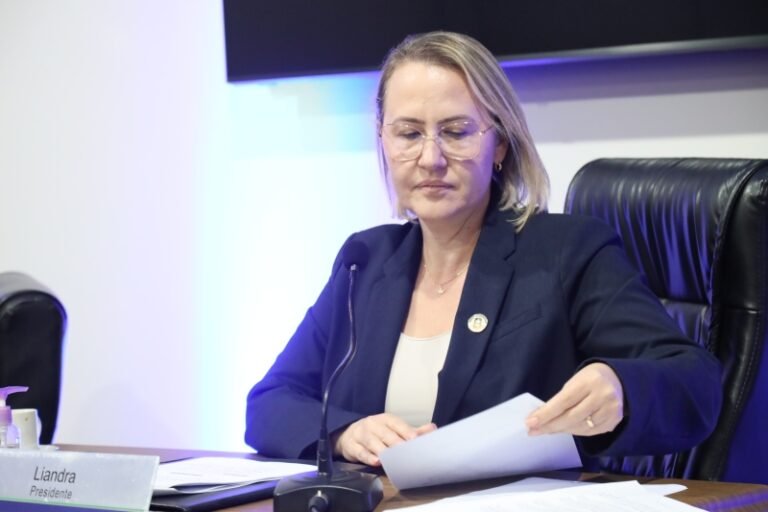Liandra solicita serviço de drenagem no Vival dos Ipês