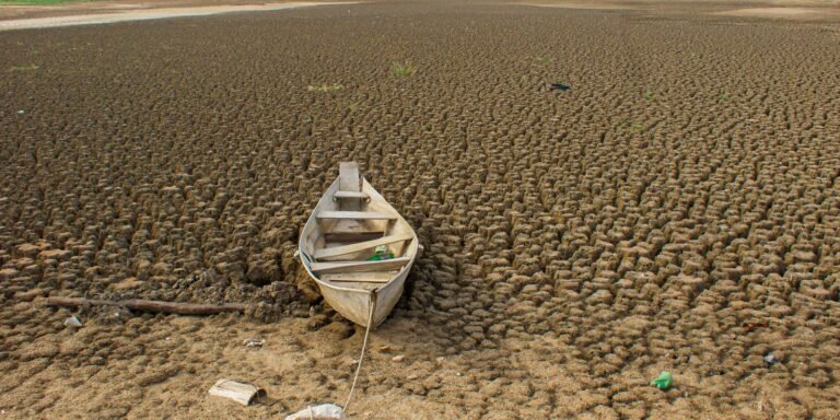 Dia da Amazônia é marcado por El Niño e risco de seca severa