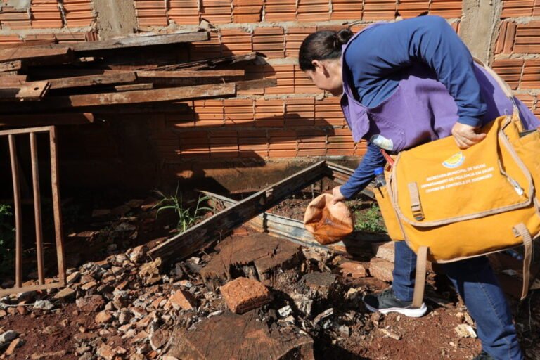 Prefeitura realiza mutirão contra o Aedes no Jóquei Clube a partir de segunda-feira