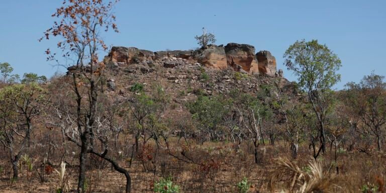 Terras indígenas são fundamentais para preservar o Cerrado e sua cultura