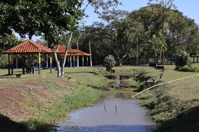Com parceria, Prefeitura amplia neste sábado arborização do Parque Antenor Martins