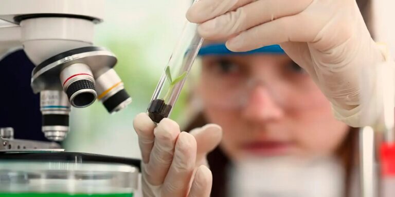 Inscrições para prêmio destinado a cientistas mulheres e meninas seguem abertas até outubro