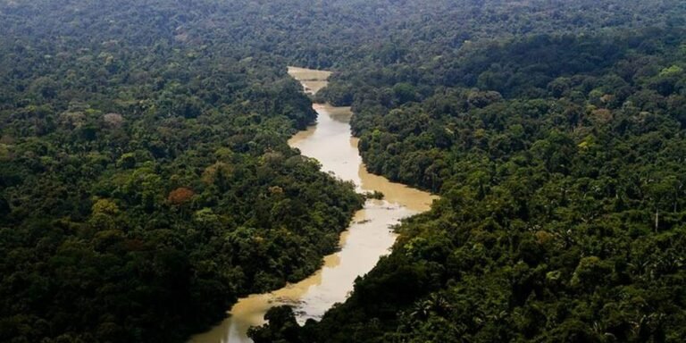 Viva Maria: liderança feminina na defesa da Amazônia