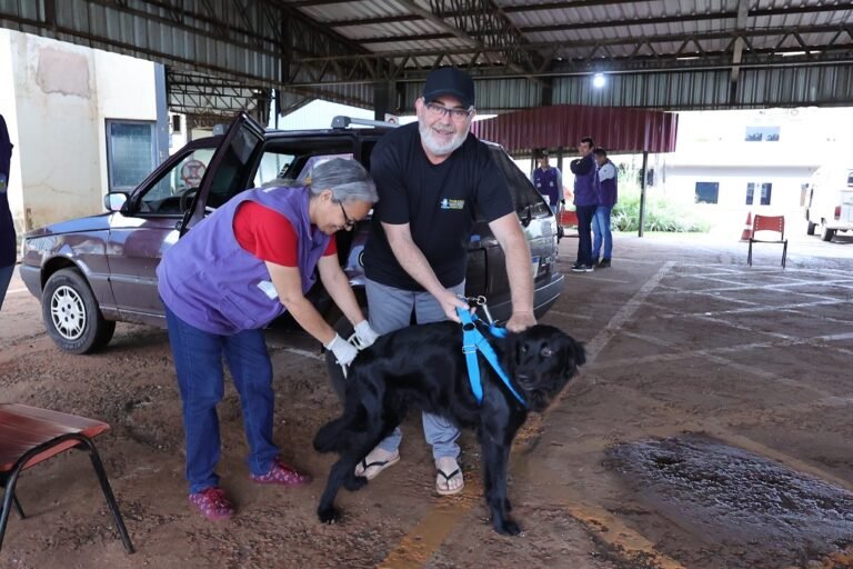Prefeitura descentraliza vacinação antirrábica para atender diferentes regiões de Dourados