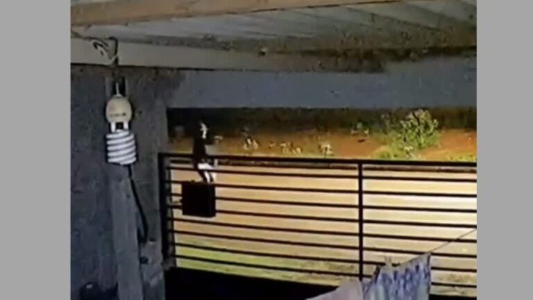 Vídeo – Jovem grita por socorro enquanto é perseguido e morto a tiros em Dourados